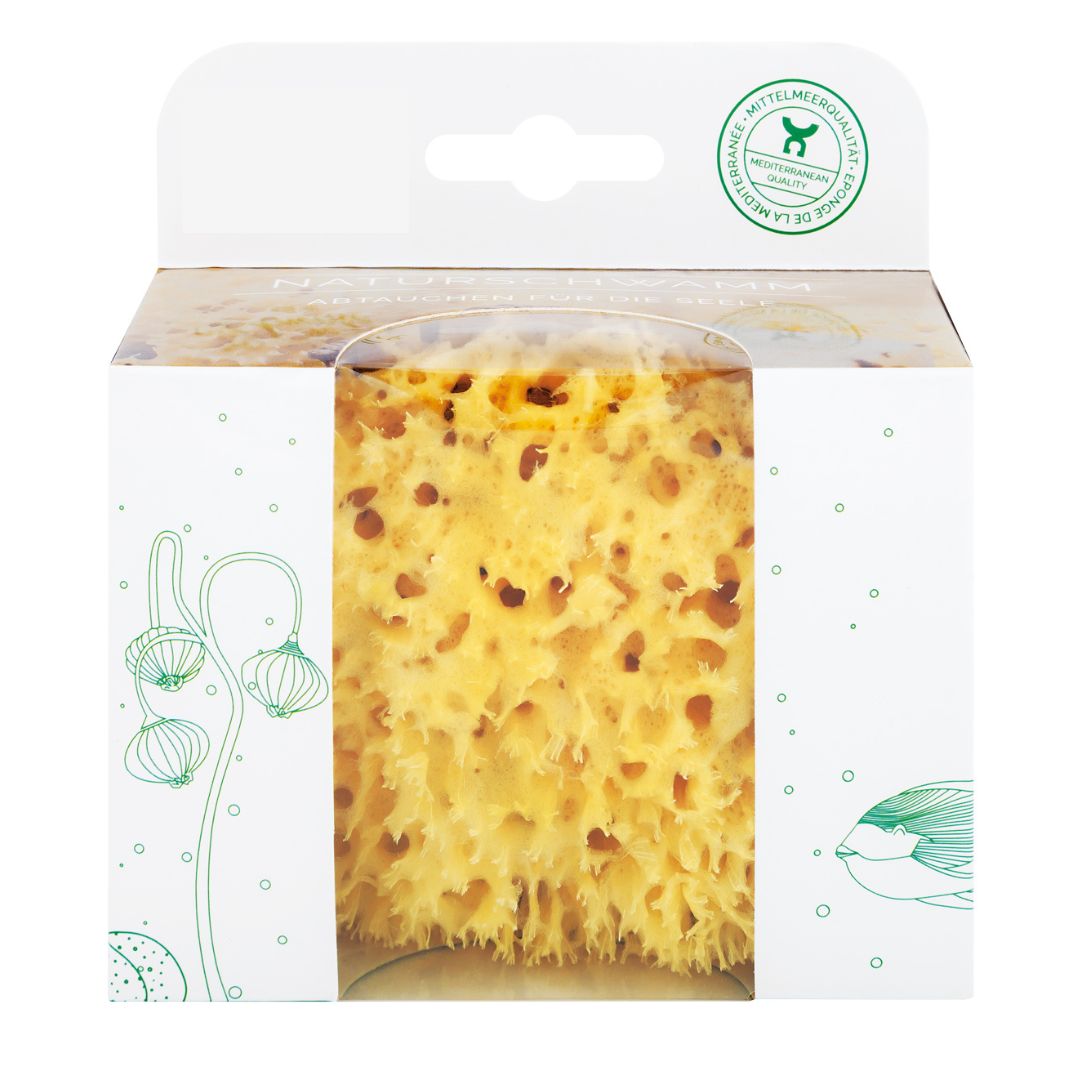 Naturschwamm in Geschenkebox