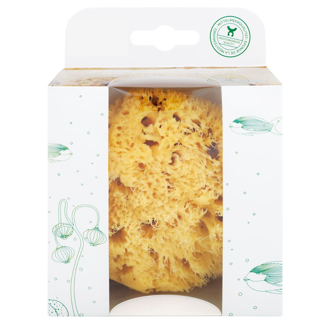 Naturschwamm in Geschenkebox