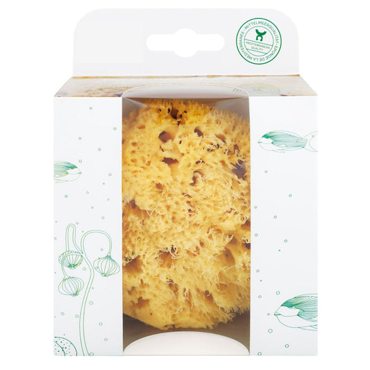 Naturschwamm in Geschenkebox