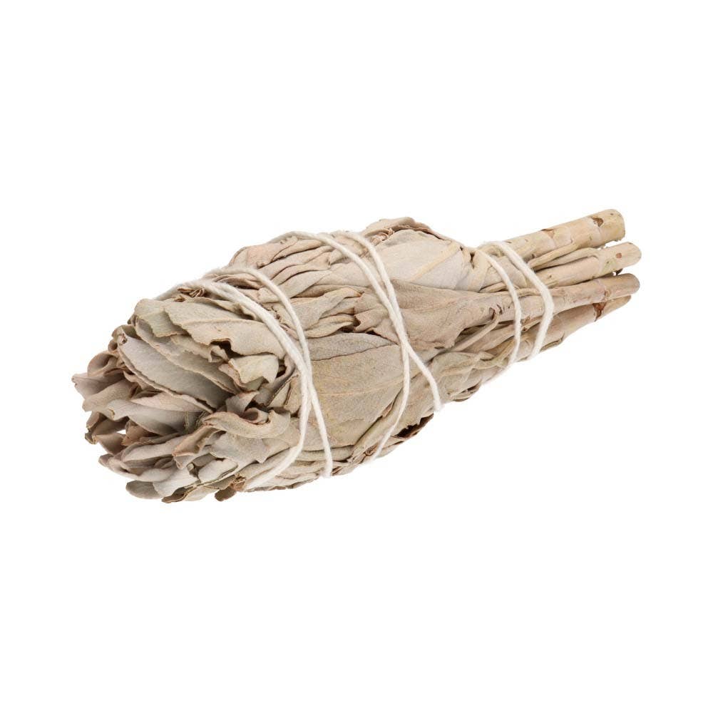 Fackel aus weißem Salbei aus Kalifornien