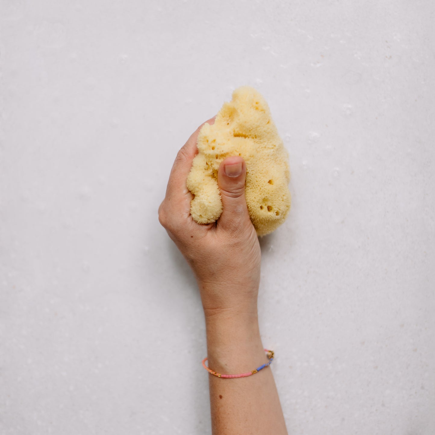 Levantiner Silk Schwamm