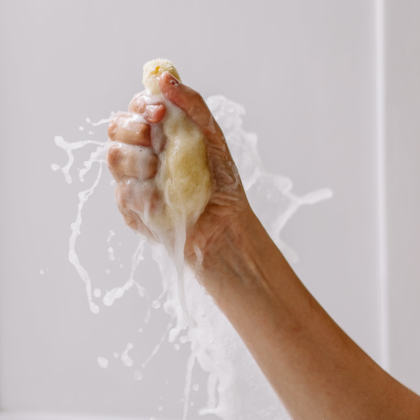 Levantiner Silk Schwamm