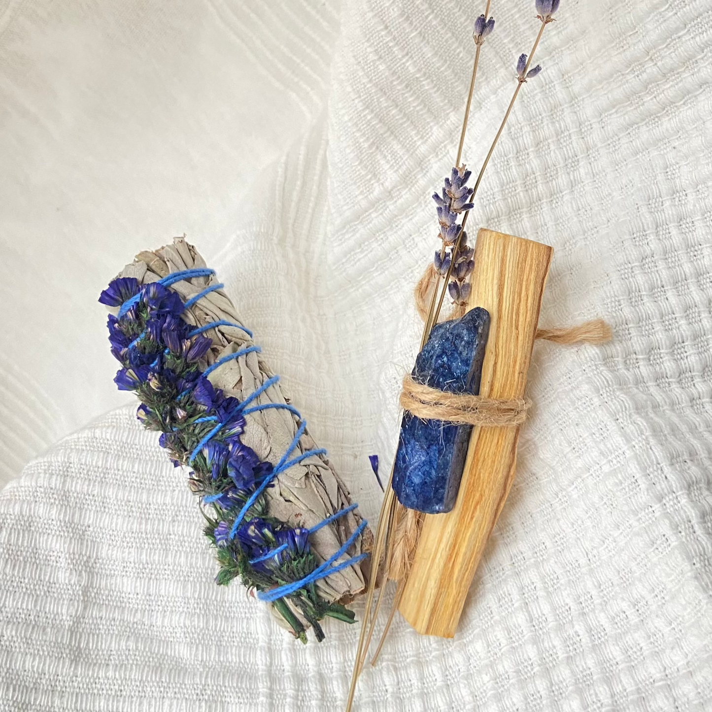 Kalifornischer Weißer Salbei mit blauer Sinuatablütte