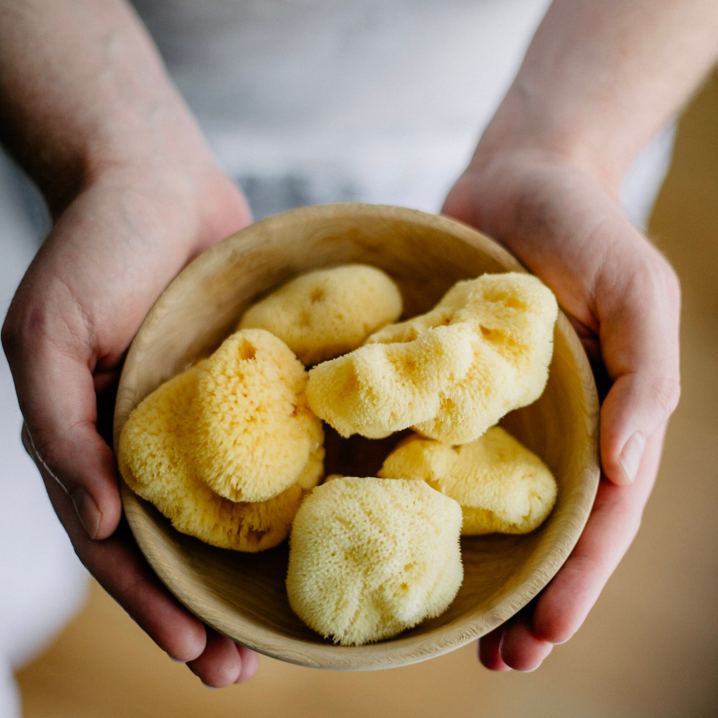 Levantiner Silk Schwamm