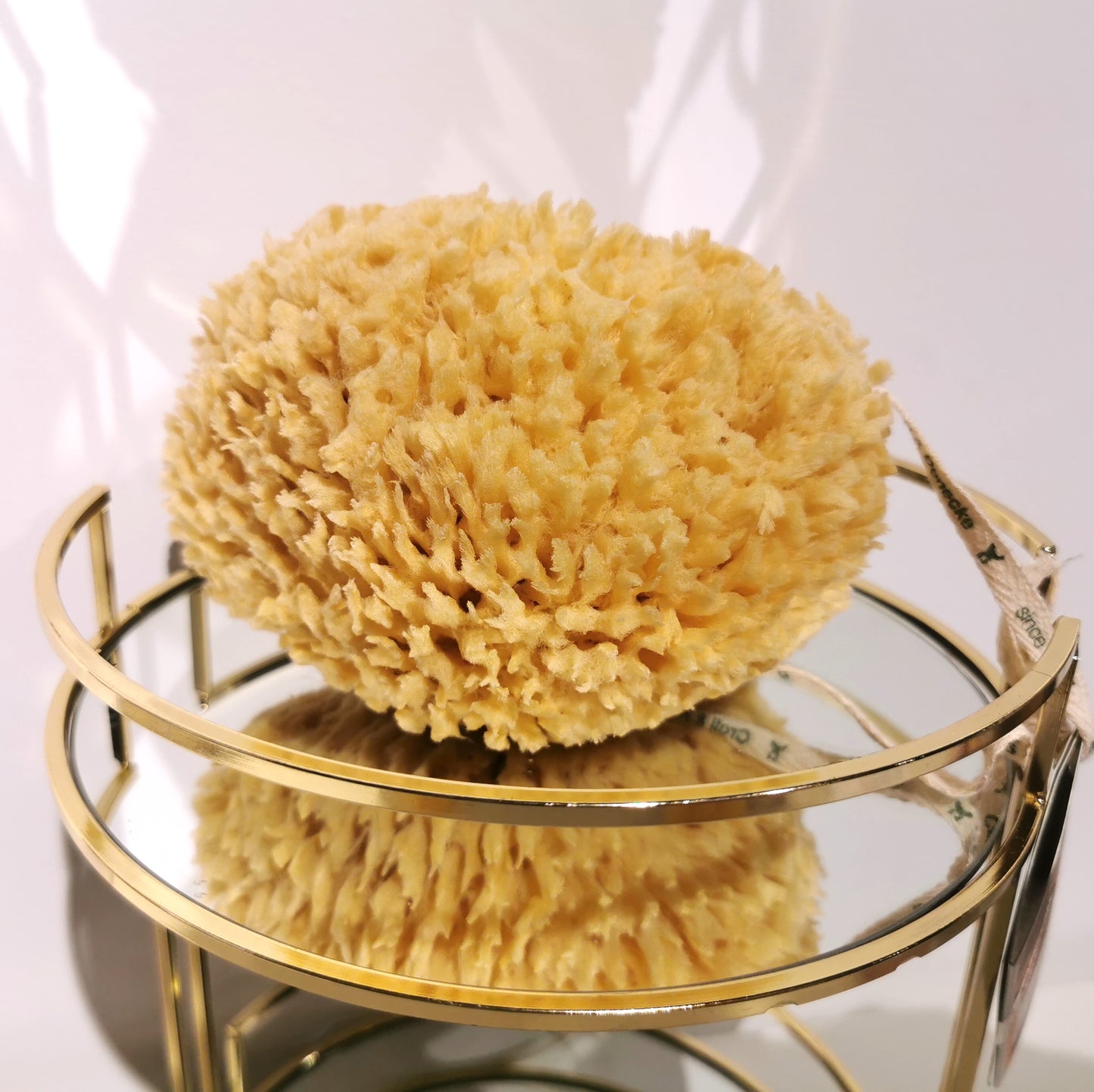 Naturschwamm in Geschenkebox