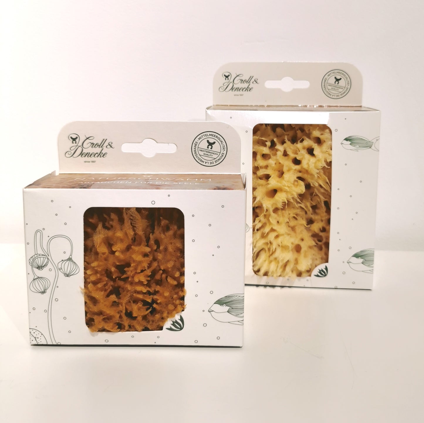 Naturschwamm in Geschenkebox