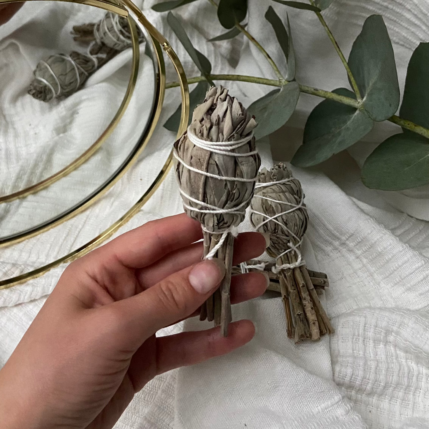 Fackel aus weißem Salbei aus Kalifornien