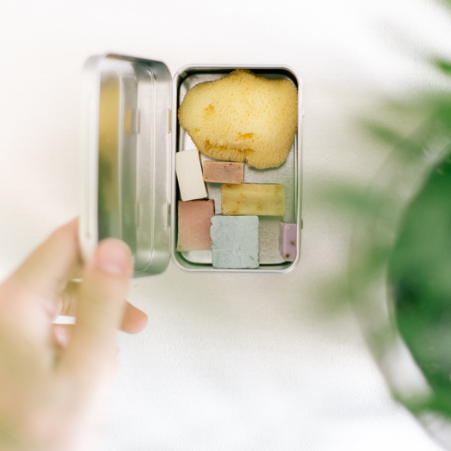 Levantiner Silk Schwamm