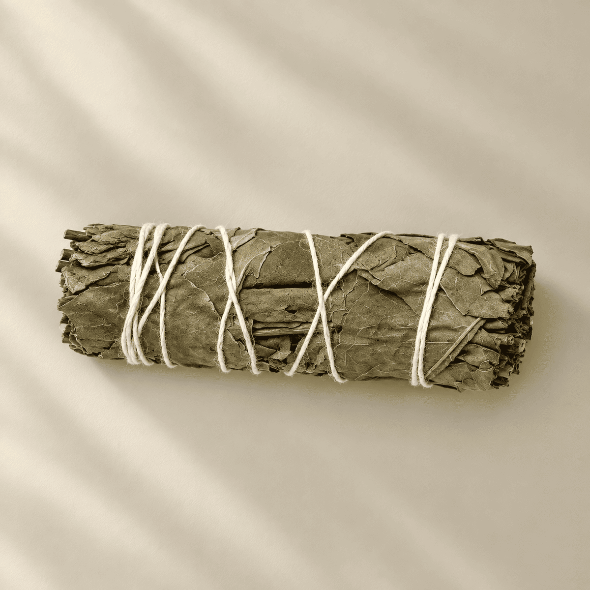 Eukalyptus Räucherbündel  zum Ausräuchern