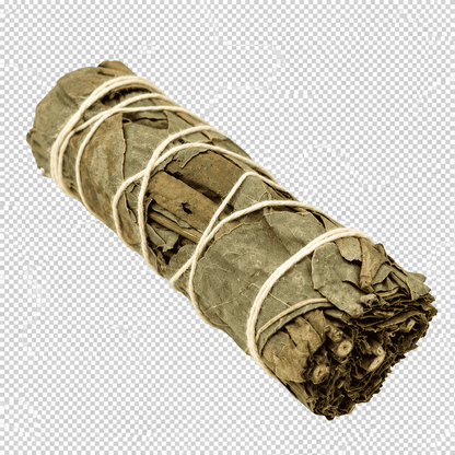 Eukalyptus Räucherbündel  zum Ausräuchern