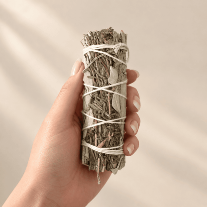 Räucherbündel Kalifornischer Weißer Salbei mit Lavendel
