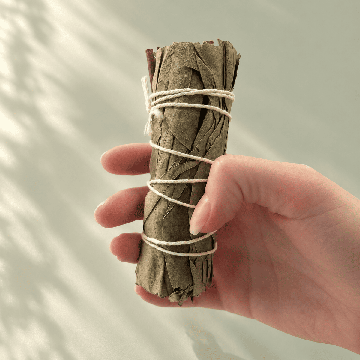 Eukalyptus Räucherbündel  zum Ausräuchern